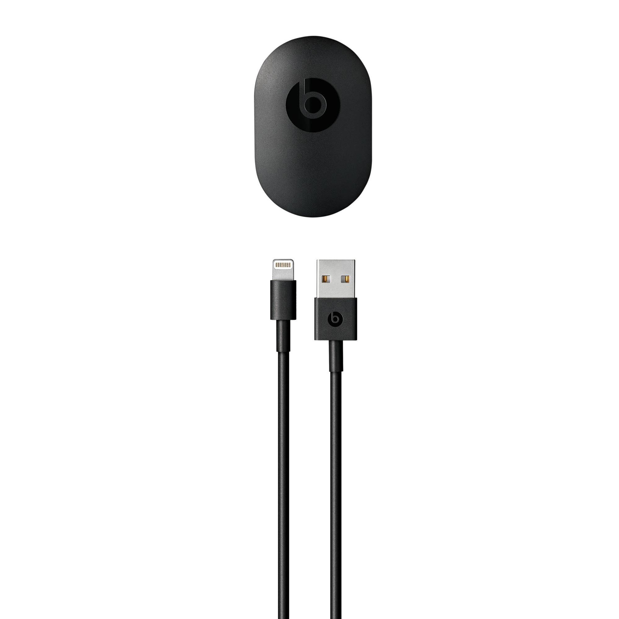beats lightning cable charger